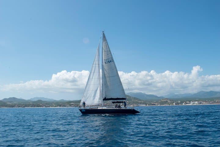 Private Half-Day Snorkel Sailing Adventure in Cabo San Lucas photo 3