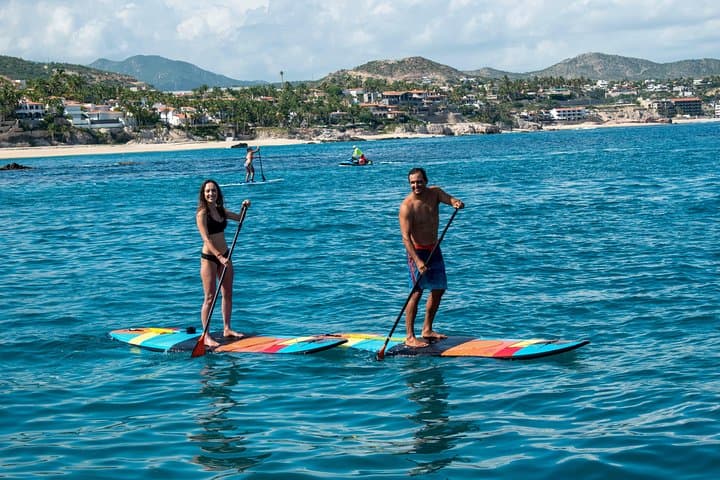 Private Half-Day Snorkel Sailing Adventure in Cabo San Lucas photo 4