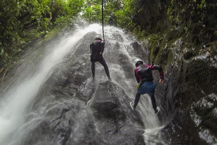 Canyoning Titou Gorge — Rappelling, Cliff Jumps & Jungle Waterways in Dominica photo 2