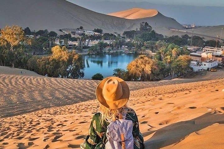 Paracas, Ballestas & Huacachina: Full-Day Wildlife, Pisco Tasting & Sandboarding from Lima photo 3
