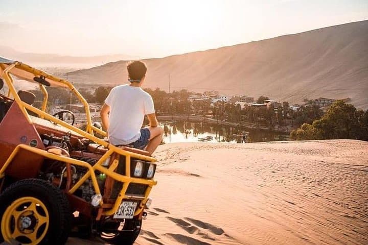 Paracas, Ballestas & Huacachina: Full-Day Wildlife, Pisco Tasting & Sandboarding from Lima photo 2