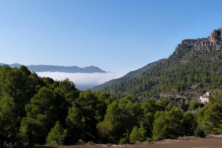 Explore U.S. National Parks: Annual Pass + Multilingual Audioguide for West Coast and Beyond