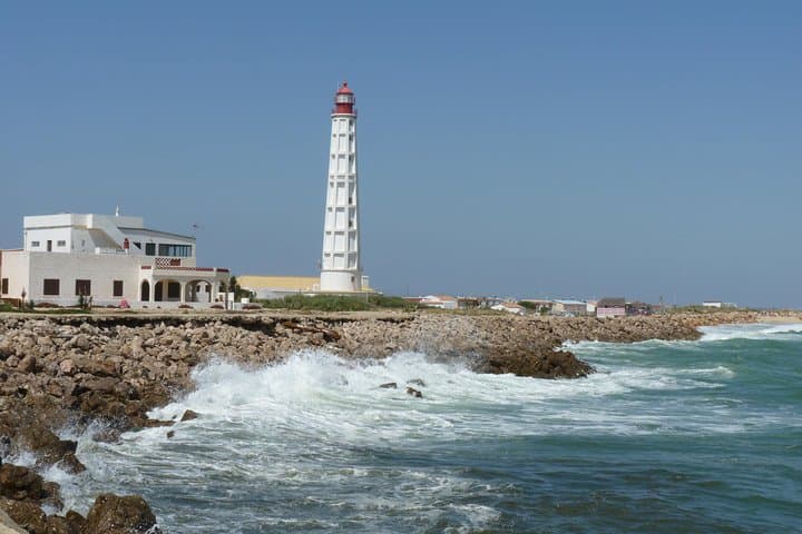 Ria Formosa Catamaran: 4 Stops to Deserta, Farol & Culatra from Faro photo 3