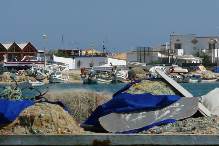 Ria Formosa Catamaran: 4 Stops to Deserta, Farol & Culatra from Faro photo 4
