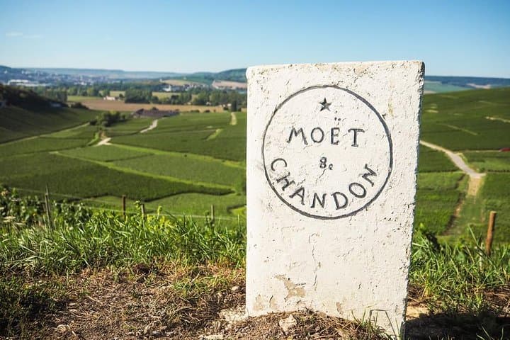 Full-Day Private Champagne Tour from Paris: Vineyards, Cellars & Dom Pérignon photo 2