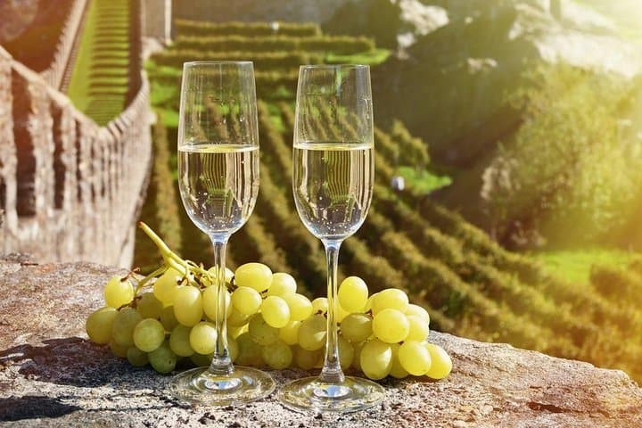 Full-Day Private Champagne Tour from Paris: Vineyards, Cellars & Dom Pérignon photo 4