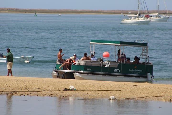 Ria Formosa Catamaran: 4 Stops to Deserta, Farol & Culatra from Faro photo 2