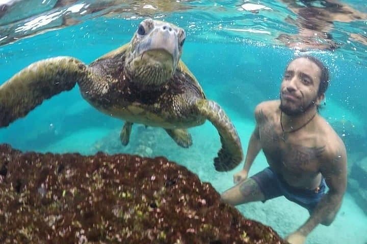 Midday Snorkel Along the Kona Coast: Ultimate Ocean Encounters to Makalawena photo 2