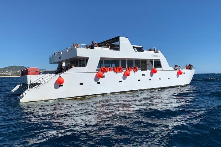 Cabos Whale Watching Cruise: Humpbacks, Dolphins & Land’s End by Boat photo 2