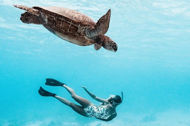 Private Moorea Lagoon Boat Tour — Snorkel Rays, Sharks & Coral