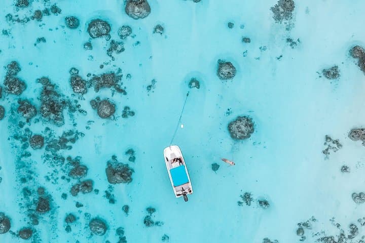Private Moorea Lagoon Boat Tour — Snorkel Rays, Sharks & Coral photo 4