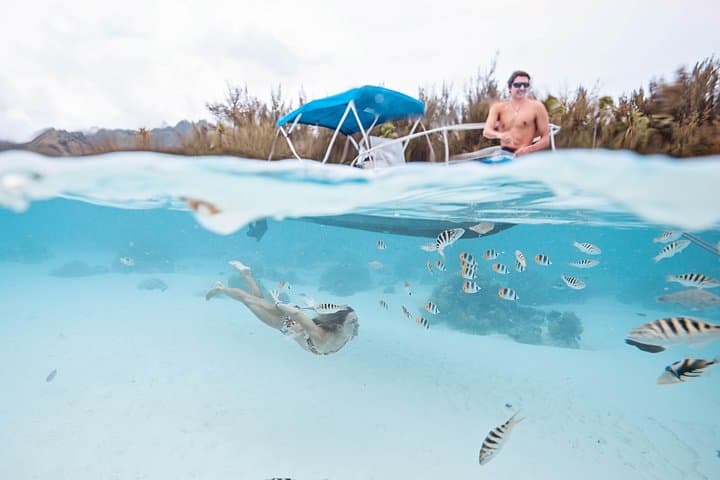 Private Moorea Lagoon Boat Tour — Snorkel Rays, Sharks & Coral photo 5