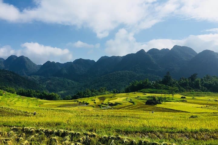Pu Luong Nature Reserve: 2-Day Trek, Cave & Bamboo Rafting from Hanoi photo 3