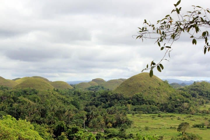 Full-Day Bohol Excursion from Cebu: Chocolate Hills, Loboc River & Historic Churches photo 3