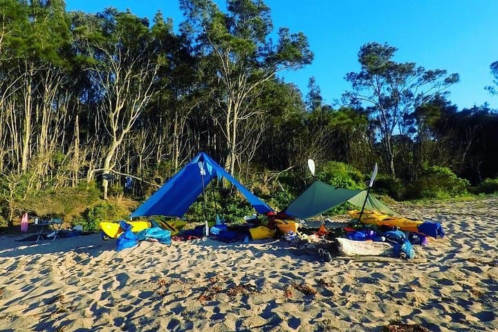 Overnight Kayak Camping Tour to Batemans Bay from Canberra — All‑Inclusive Sea Kayak Adventure photo 6