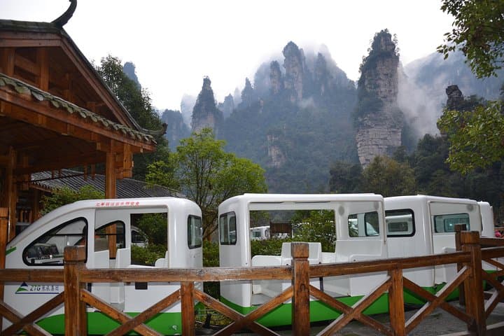 Explore Avatar Mountain: Full-Day Private Tour of Zhangjiajie National Forest Park photo 6