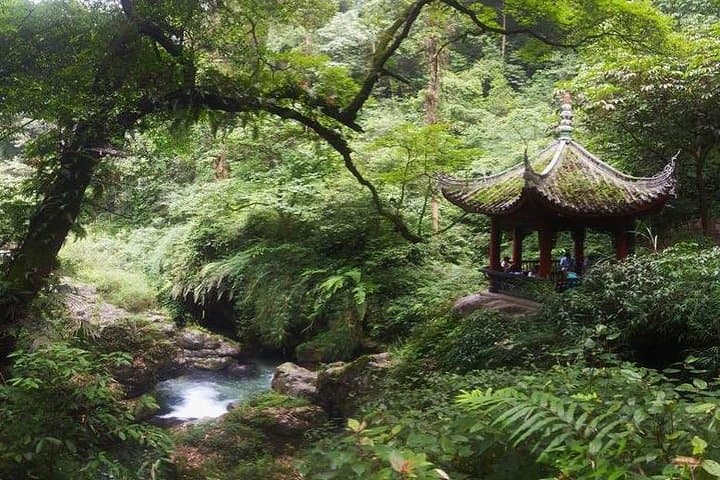 Day Trip to Mt Emei: Hike Temples, Monkeys & the Golden Summit from Chengdu photo 3