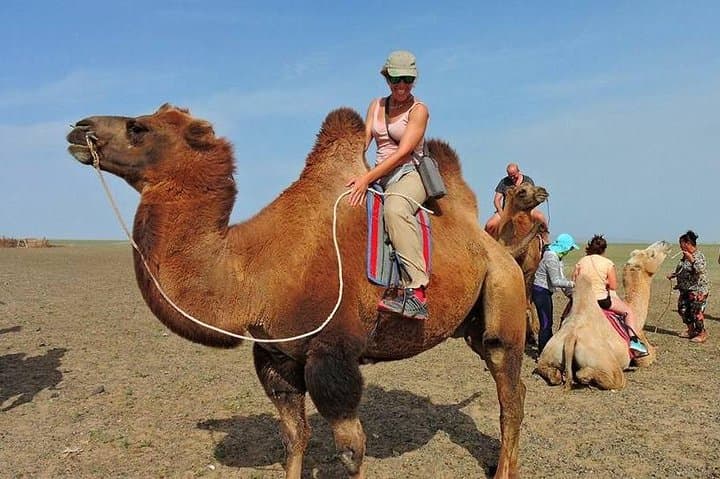 5-Day Majestic Gobi Tour: Khongoryn Els, Yol Valley & Flaming Cliffs photo 2