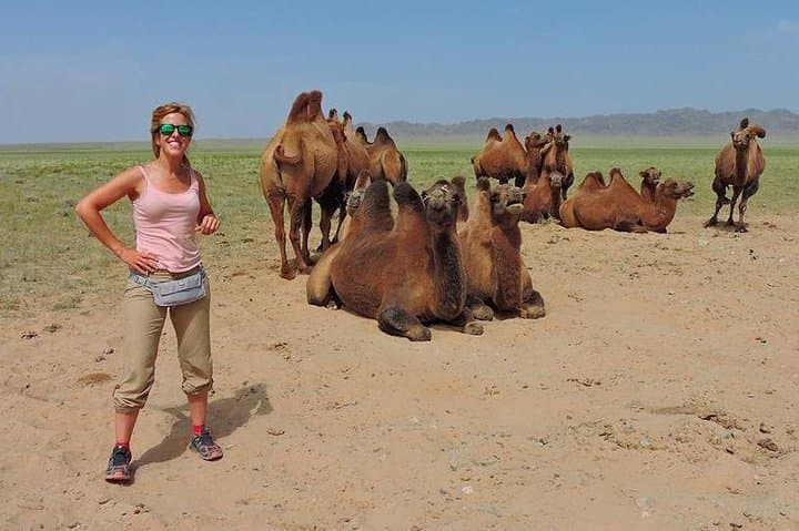 5-Day Majestic Gobi Tour: Khongoryn Els, Yol Valley & Flaming Cliffs photo 4