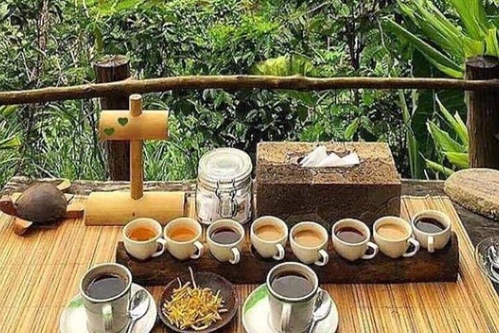 Favorite Ubud Daytrip: Rice Terraces, Coffee Tasting & Holy Spring Temple photo 4