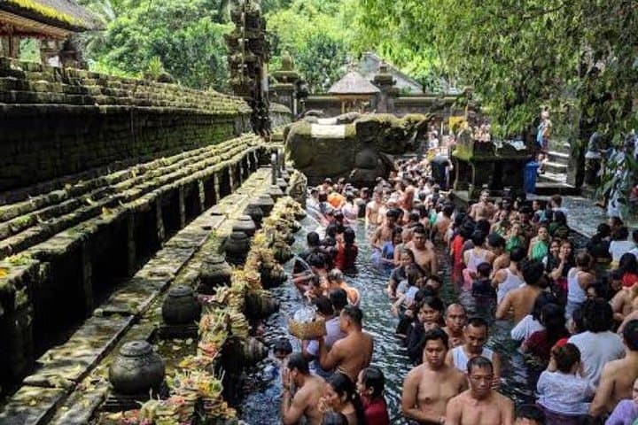 Favorite Ubud Daytrip: Rice Terraces, Coffee Tasting & Holy Spring Temple photo 5