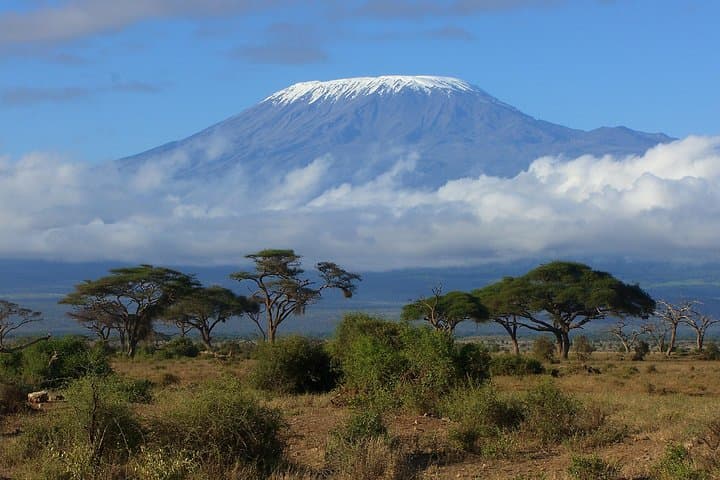 7-Day Kilimanjaro Machame Route: Summit Trek from Moshi photo 2