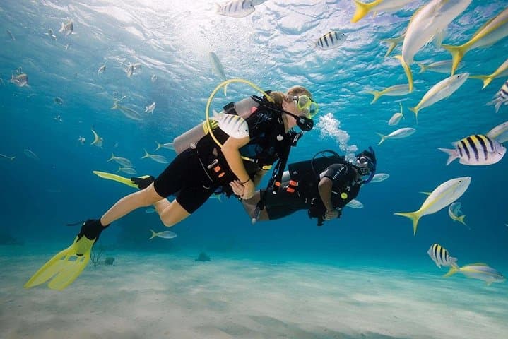 Discover Scuba Diving in Blue Bay — Introductory Dive Near Mahébourg, Mauritius