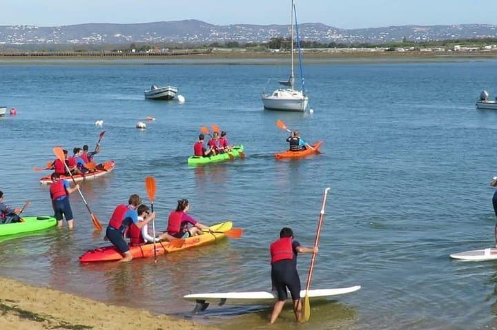 Explore Ria Formosa by SUP or Kayak — Faro Coastal Paddle Tour photo 4