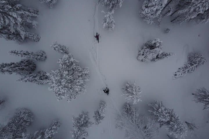 Aurora Hunting by Ski or Snowshoe in Pyhä — Private Northern Lights Tour photo 5