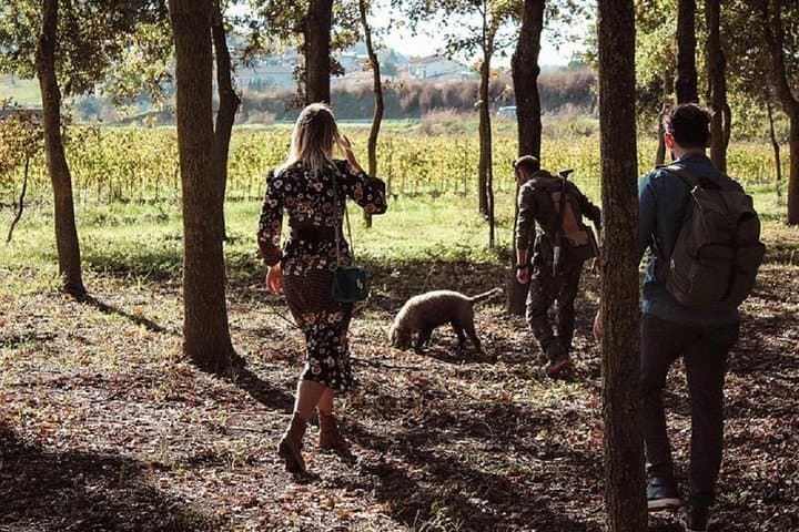 Truffle Hunting in the Tuscany Hills: Day Trip from Florence with Wine & Lunch photo 2
