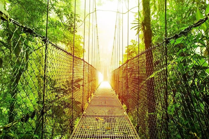 8-Day Costa Rica Essentials: Arenal Volcano, Tortuguero Canals & Monteverde Cloud Forest photo 3