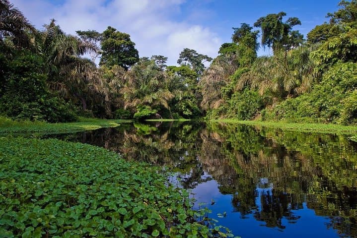8-Day Costa Rica Essentials: Arenal Volcano, Tortuguero Canals & Monteverde Cloud Forest photo 5