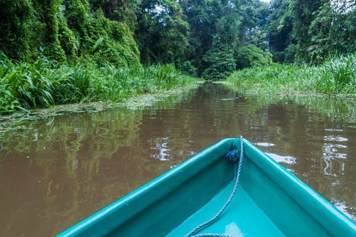 8-Day Costa Rica Essentials: Arenal Volcano, Tortuguero Canals & Monteverde Cloud Forest photo 4