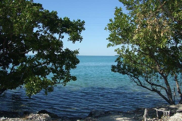 Miami to Key Largo & Islamorada: Private 12‑Hour Coastal Road Trip photo 4
