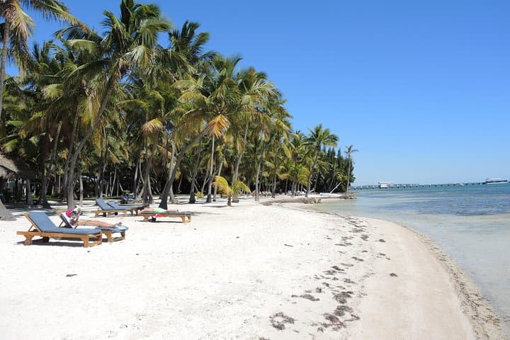 Miami to Key Largo & Islamorada: Private 12‑Hour Coastal Road Trip