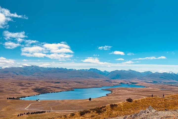 Private Full-Day Mt. Cook Tour from Christchurch via Tekapo & Pukaki photo 5