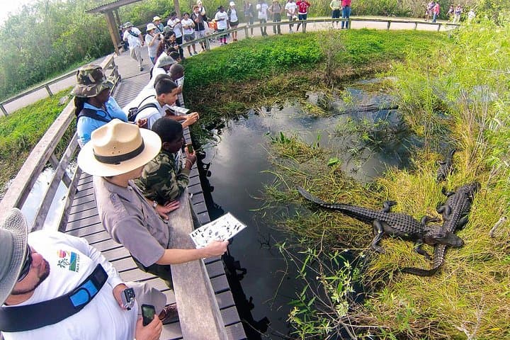 Private Everglades Airboat Tour from Miami Dade — 4-Hour Wildlife & Airboat Experience photo 3