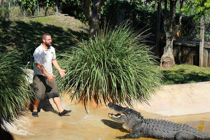 Private Everglades Airboat Tour from Miami Dade — 4-Hour Wildlife & Airboat Experience photo 4