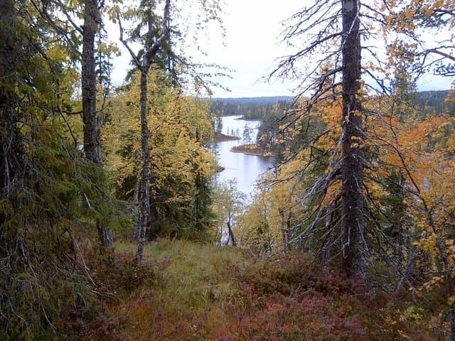 Korouoma Canyon Day Hike and Auttiköngäs Falls from Rovaniemi photo 2