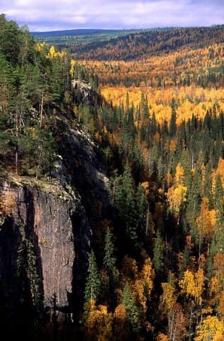 Korouoma Canyon Day Hike and Auttiköngäs Falls from Rovaniemi photo 3