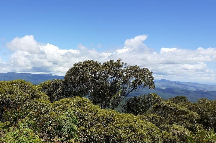 Two-Day Private Hike to Mount Tomanivi & Koroyanitu Waterfalls (Fiji) photo 6