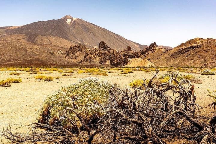 Tenerife Highlights Full-Day Tour: Teide, Icod de los Vinos, Garachico & Masca photo 4