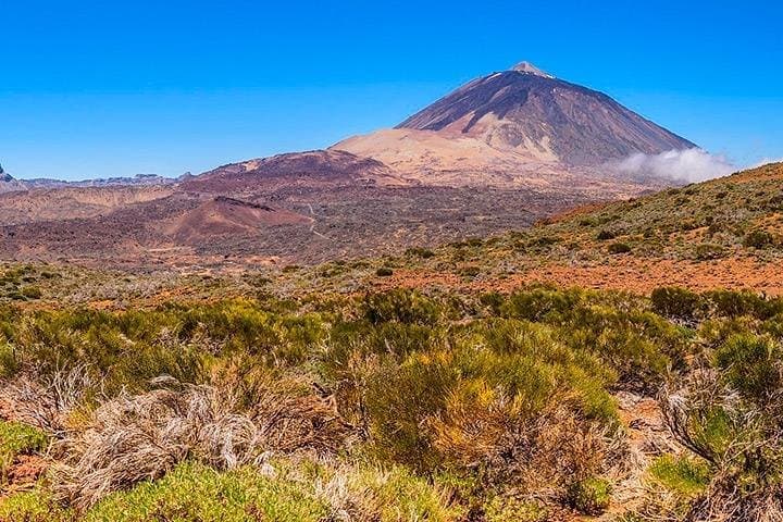Tenerife Highlights Full-Day Tour: Teide, Icod de los Vinos, Garachico & Masca photo 2