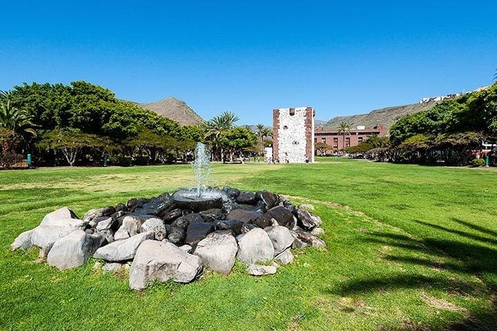 La Gomera Day Trip from Tenerife — Garajonay, El Cedro Forest & Roque Agando photo 5
