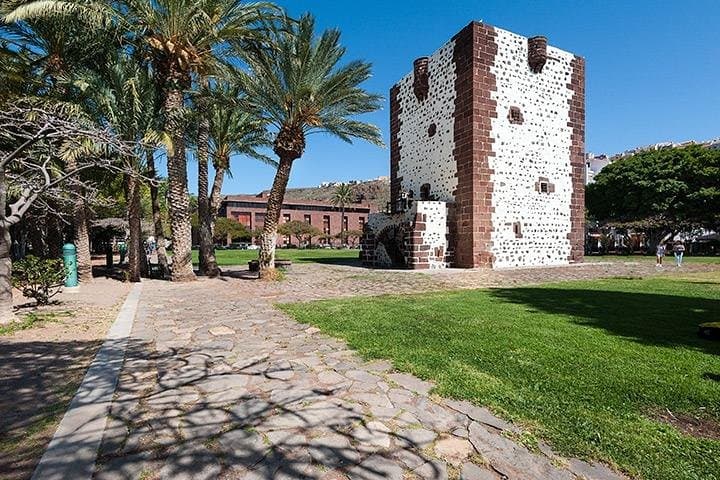 La Gomera Day Trip from Tenerife — Garajonay, El Cedro Forest & Roque Agando photo 6