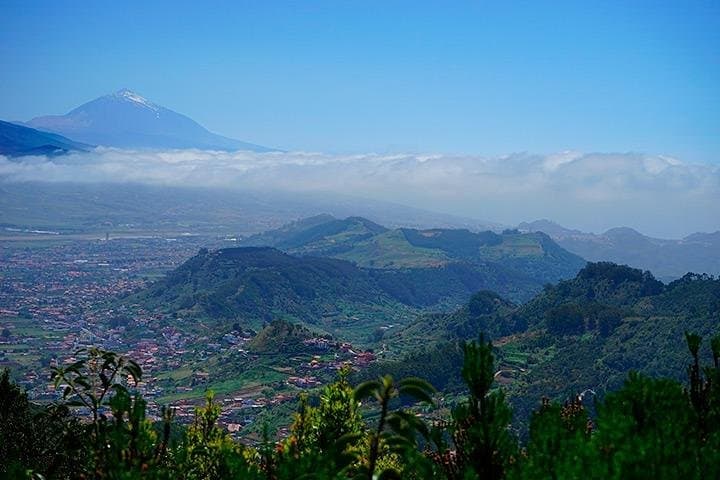 Explore La Laguna, Taganana & Las Teresitas — Full-Day Anaga Coast Tour photo 4