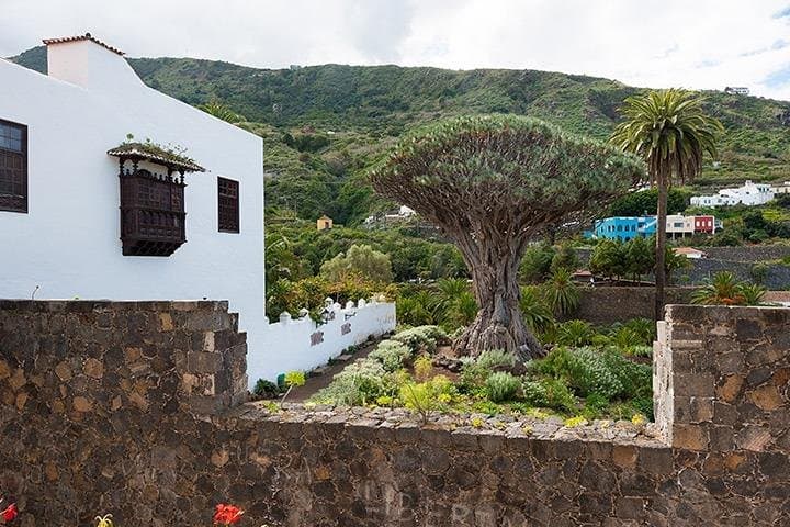 Tenerife Highlights Full-Day Tour: Teide, Icod de los Vinos, Garachico & Masca photo 6