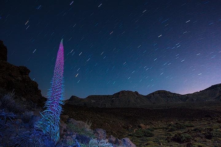 Mount Teide Night Tour: Stargazing, Dinner & Hotel Pickup in Tenerife photo 5