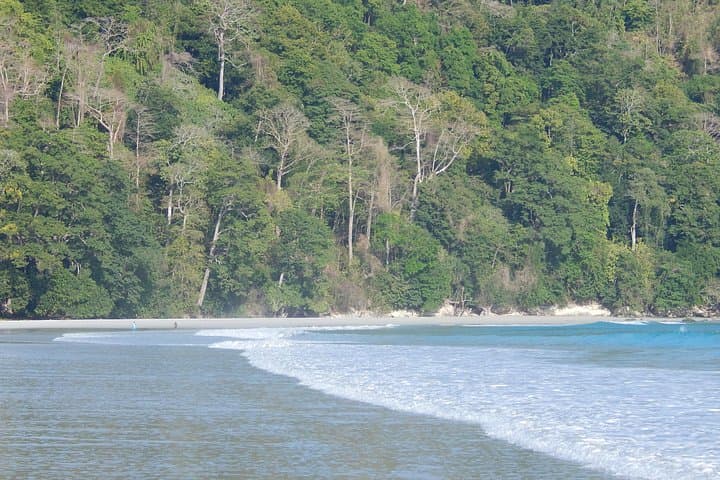 Havelock Island Day Trip from Port Blair — Radhanagar & Kalapathar Beaches photo 2