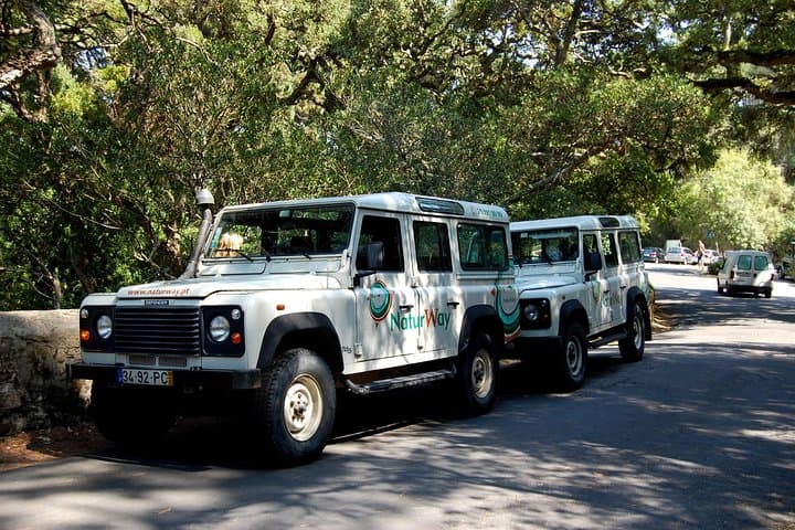 Jeep Adventure Through Arrábida Natural Park: Portinho, Cabo Espichel & Wine Tasting